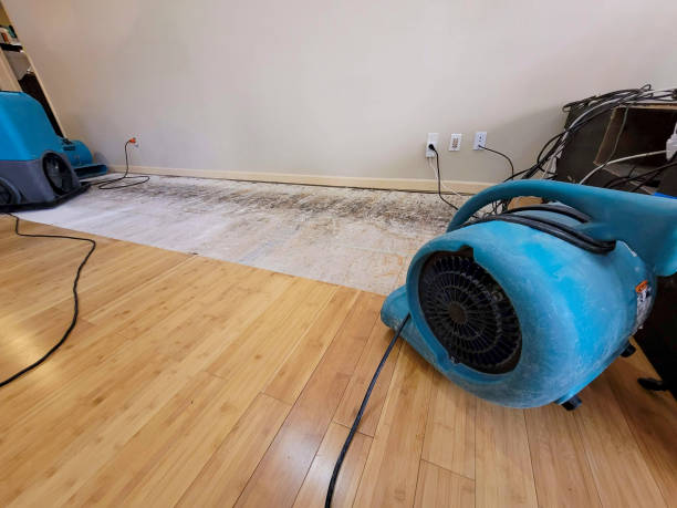 Professional Flood Damage Cleanup technician working in Rockville, MD